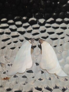 Iridescent White Shell Petal Drop Earrings